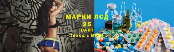 дживик Карпинск