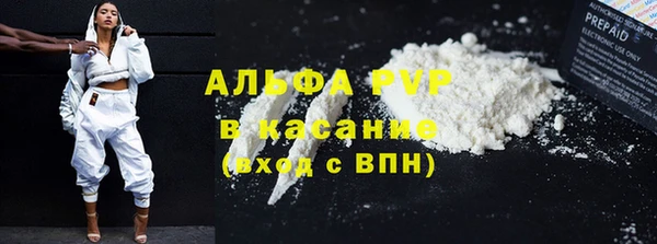 амф Касимов
