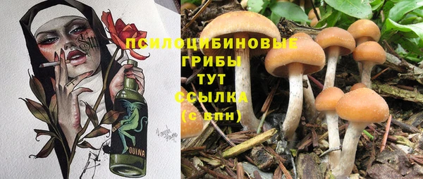 амф Касимов