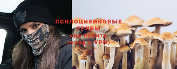 дживик Карпинск