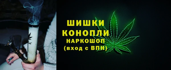 дживик Карпинск