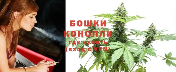 амф Касимов